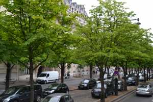 Paris2015 (104)